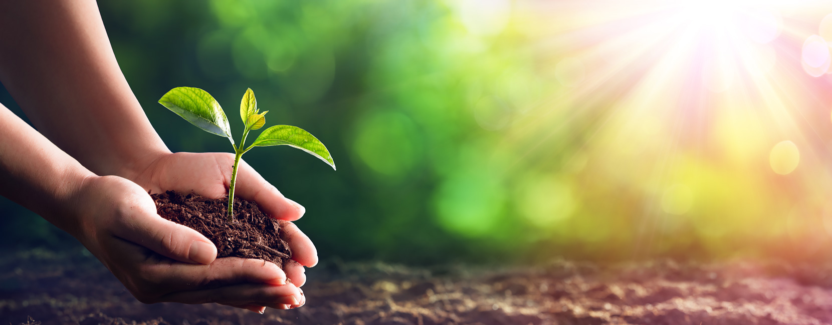 AG��˾(�й���)�����޹�˾����